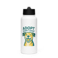 Stainless steel water bottle with a straw lid - MCM Merchandise