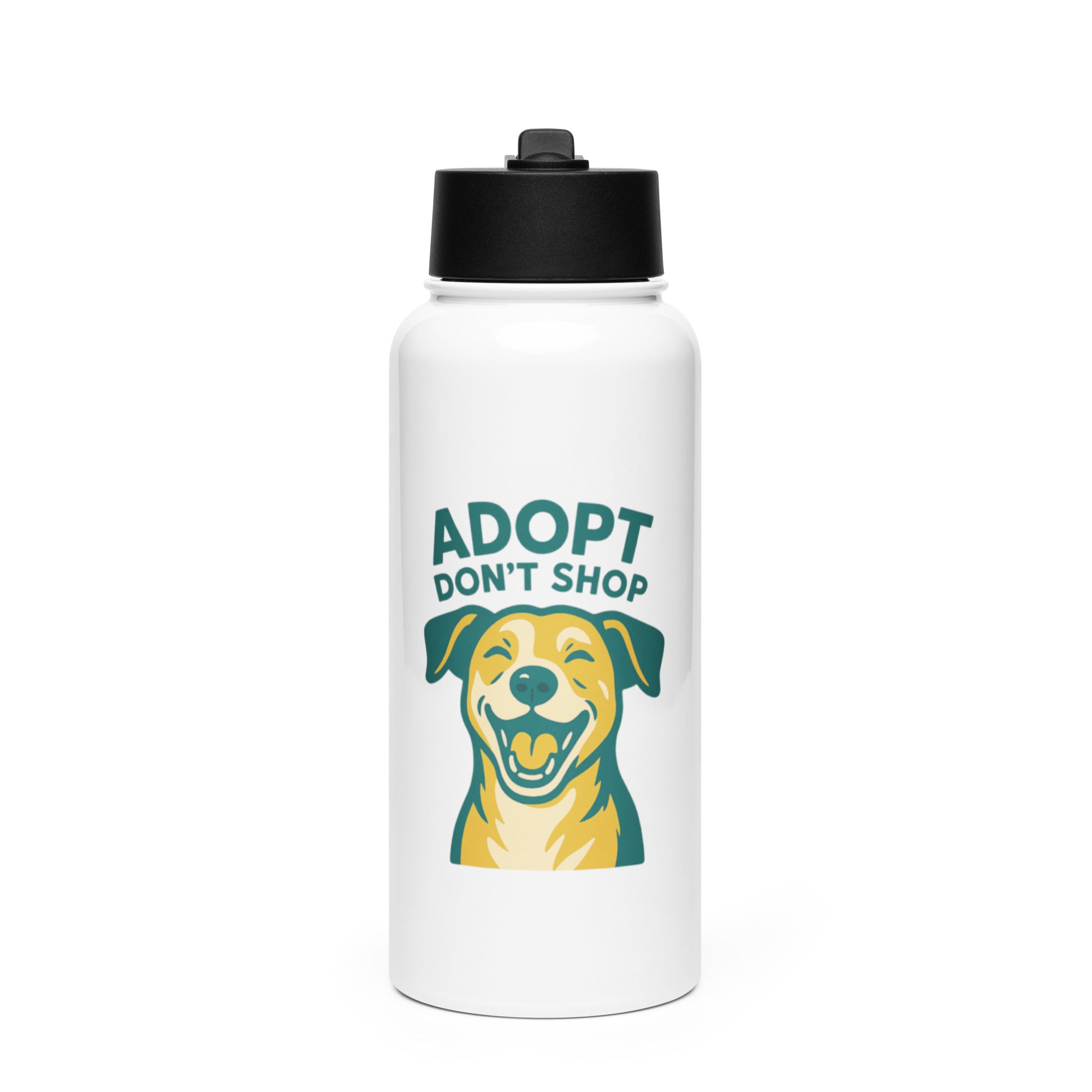 Stainless steel water bottle with a straw lid - MCM Merchandise